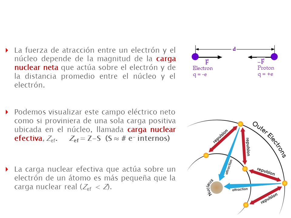 La fuerza de atracción entre un electrón y el núcleo depende de la magnitud de la carga nuclear neta que actúa sobre el electrón y de la distancia promedio entre el núcleo y el electrón.