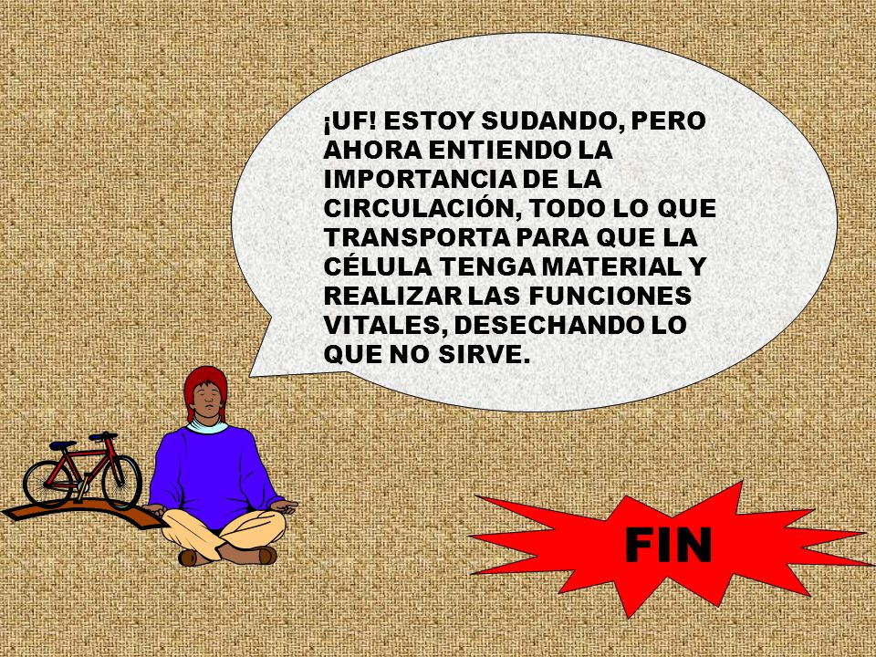 ¡UF! ESTOY SUDANDO, PERO AHORA ENTIENDO LA IMPORTANCIA DE LA CIRCULACIÓN, TODO LO QUE TRANSPORTA PARA QUE LA CÉLULA TENGA MATERIAL Y REALIZAR LAS FUNCIONES VITALES, DESECHANDO LO QUE NO SIRVE.