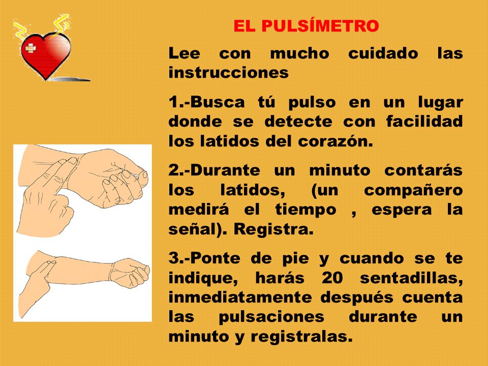EL PULSÍMETRO Lee con mucho cuidado las instrucciones. 1.-Busca tú pulso en un lugar donde se detecte con facilidad los latidos del corazón.
