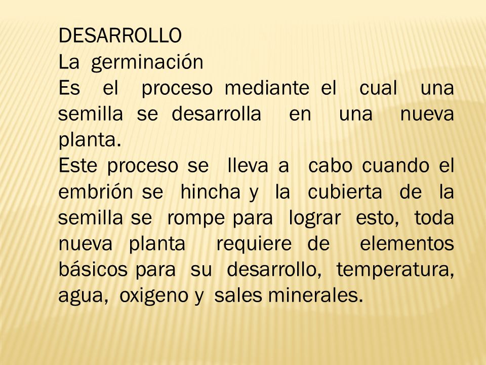 DESARROLLO La germinación. Es el proceso mediante el cual una semilla se desarrolla en una nueva planta.