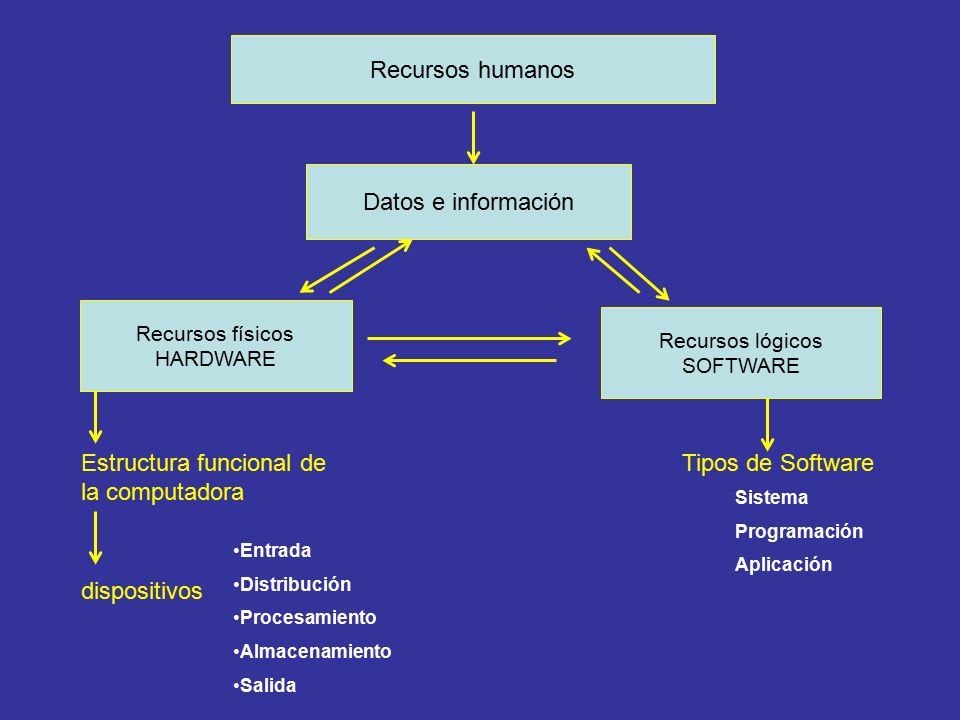 Estructura funcional de la computadora Tipos de Software