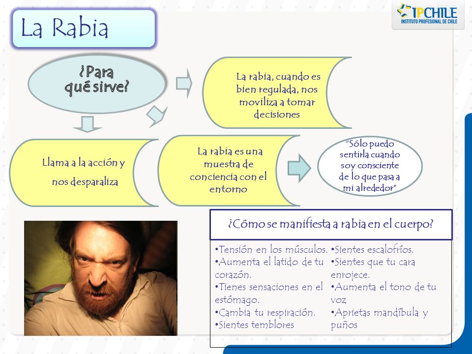 La Rabia ¿Para qué sirve ¿Cómo se manifiesta a rabia en el cuerpo