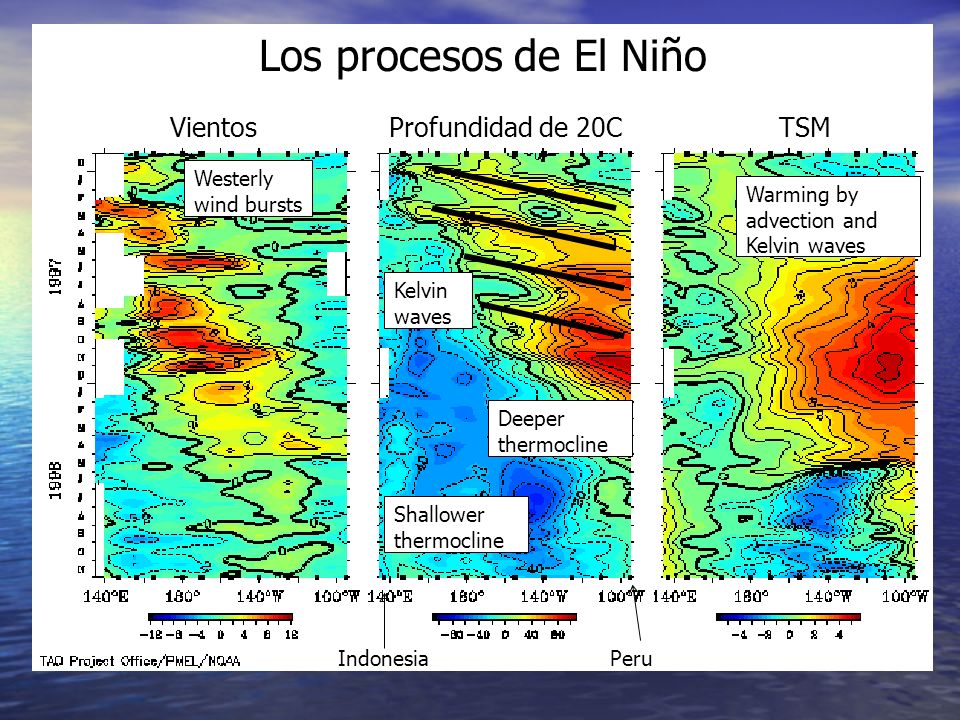 Los procesos de El Niño Vientos Profundidad de 20C TSM