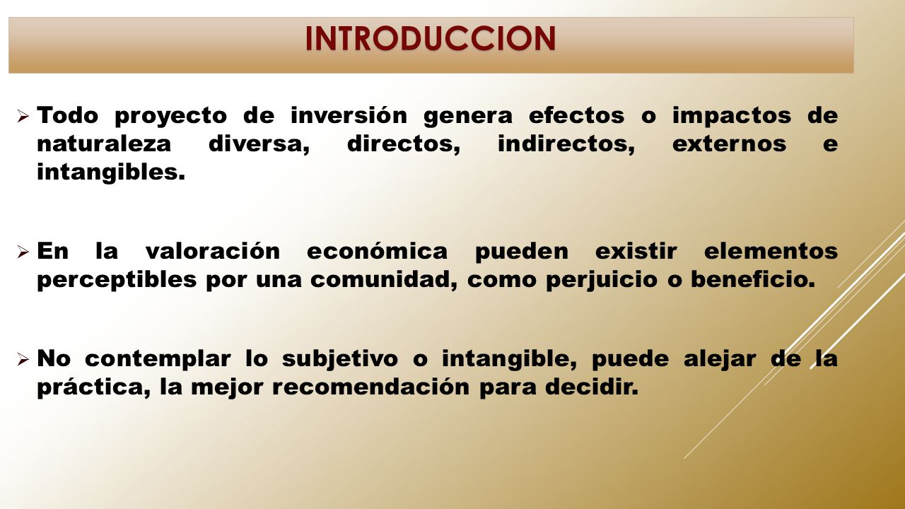 INTRODUCCION Todo proyecto de inversión genera efectos o impactos de naturaleza diversa, directos, indirectos, externos e intangibles.