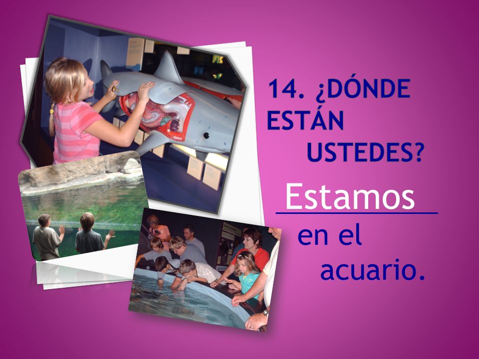 14. ¿DóNDE estÁn ustedes Estamos _____________ en el acuario.