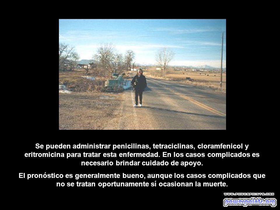 Se pueden administrar penicilinas, tetraciclinas, cloramfenicol y eritromicina para tratar esta enfermedad. En los casos complicados es necesario brindar cuidado de apoyo.
