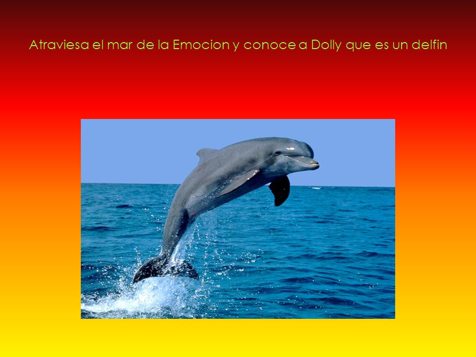 Atraviesa el mar de la Emocion y conoce a Dolly que es un delfin