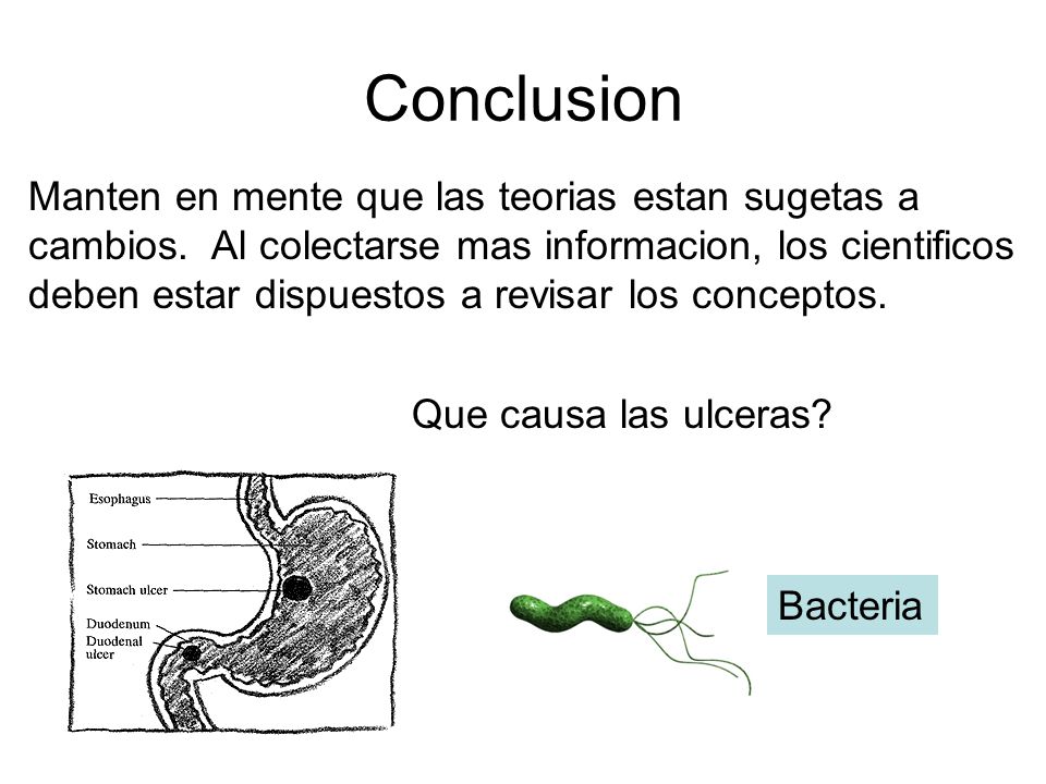 Conclusion Manten en mente que las teorias estan sugetas a