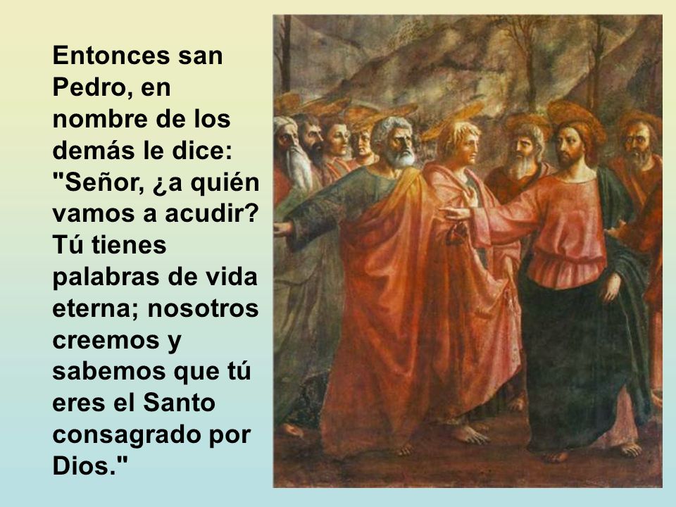Entonces san Pedro, en nombre de los demás le dice: Señor, ¿a quién vamos a acudir.