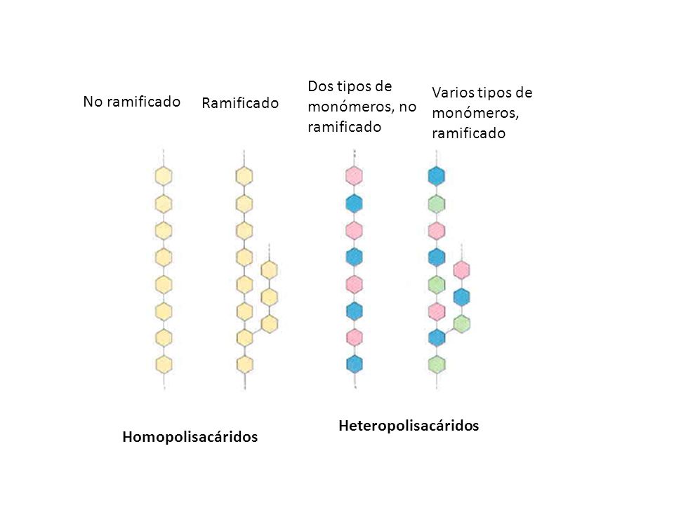 Dos tipos de monómeros, no ramificado