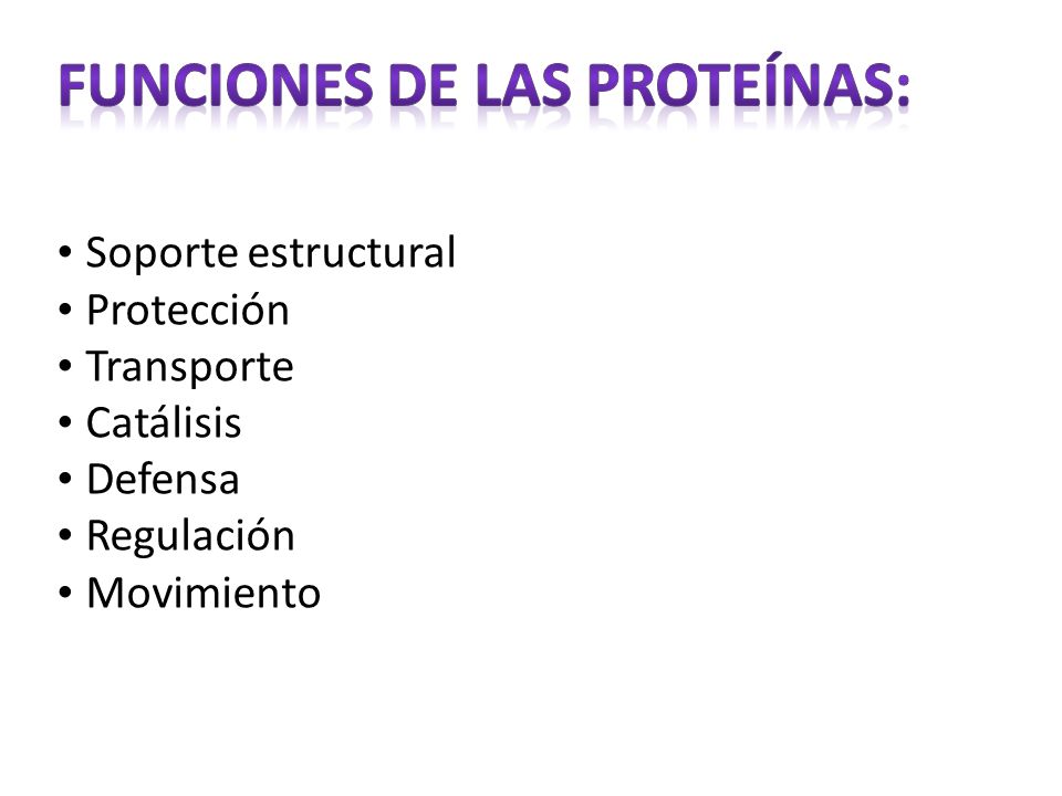 Funciones de las proteínas: