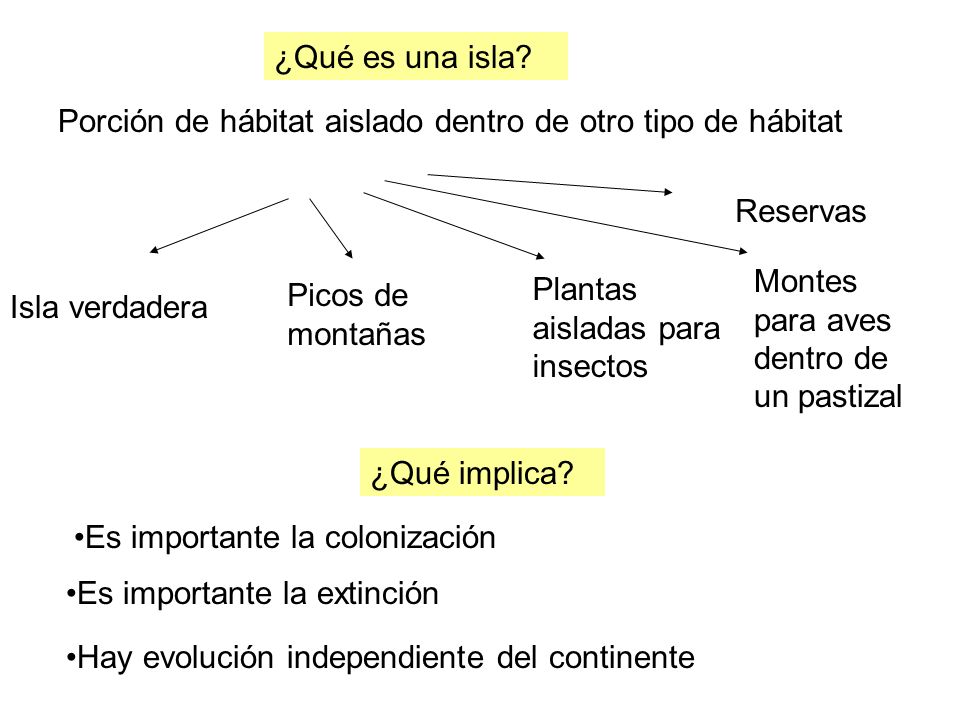 ¿Qué es una isla Porción de hábitat aislado dentro de otro tipo de hábitat. Reservas. Montes para aves dentro de un pastizal.
