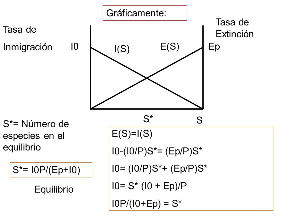 Gráficamente: Tasa de Extinción. Tasa de. Inmigración. I0. E(S) Ep. I(S) S* S. S*= Número de especies en el equilibrio.
