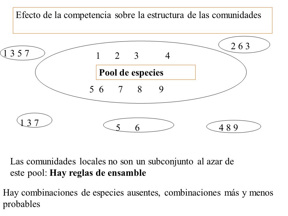 Efecto de la competencia sobre la estructura de las comunidades
