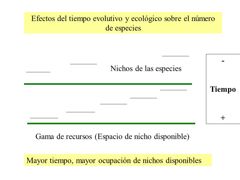 Efectos del tiempo evolutivo y ecológico sobre el número de especies