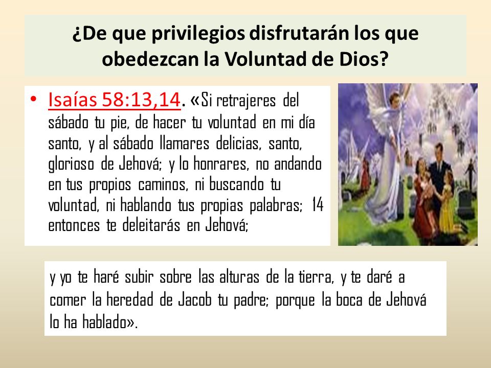 ¿De que privilegios disfrutarán los que obedezcan la Voluntad de Dios