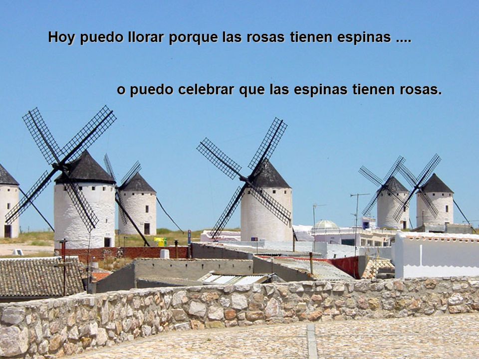 Hoy puedo llorar porque las rosas tienen espinas ....