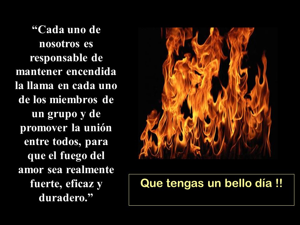 Cada uno de nosotros es responsable de mantener encendida la llama en cada uno de los miembros de un grupo y de promover la unión entre todos, para que el fuego del amor sea realmente fuerte, eficaz y duradero.