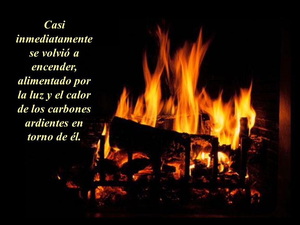 Casi inmediatamente se volvió a encender, alimentado por la luz y el calor de los carbones ardientes en torno de él.