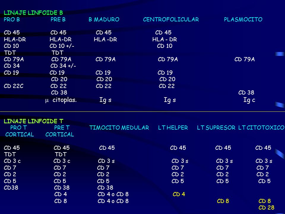  citoplas. Ig s Ig s Ig c LINAJE LINFOIDE B