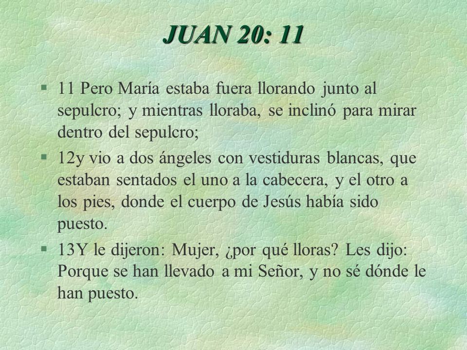 JUAN 20: Pero María estaba fuera llorando junto al sepulcro; y mientras lloraba, se inclinó para mirar dentro del sepulcro;