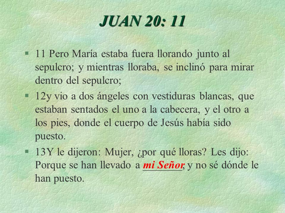 JUAN 20: Pero María estaba fuera llorando junto al sepulcro; y mientras lloraba, se inclinó para mirar dentro del sepulcro;