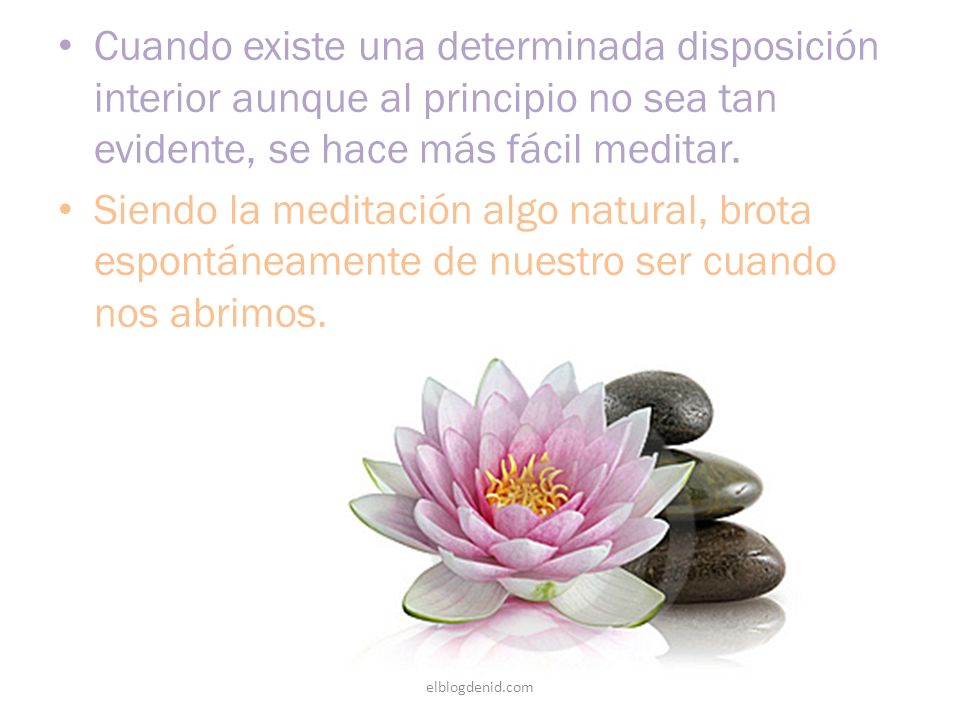 Cuando existe una determinada disposición interior aunque al principio no sea tan evidente, se hace más fácil meditar.