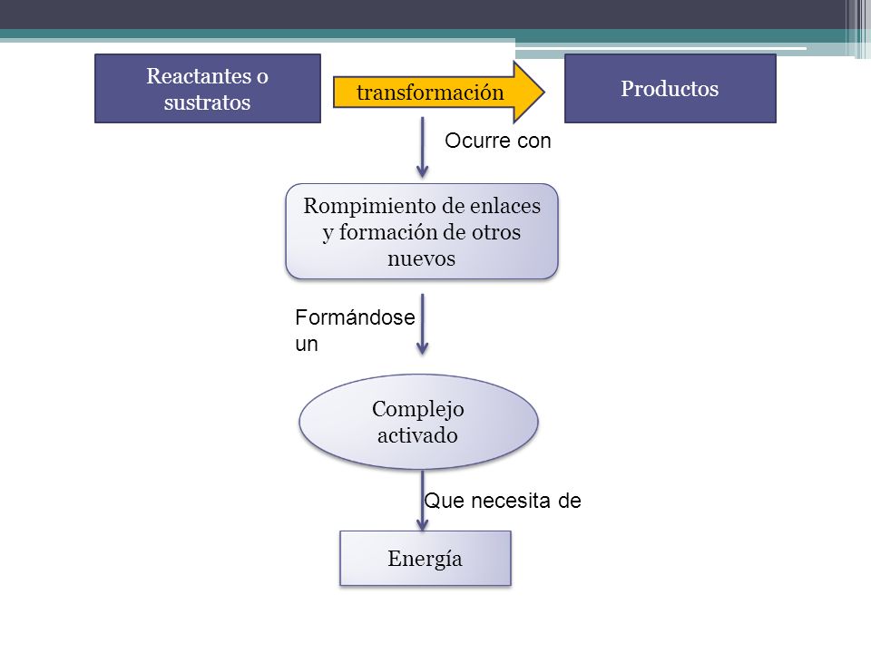 Reactantes o sustratos Productos transformación