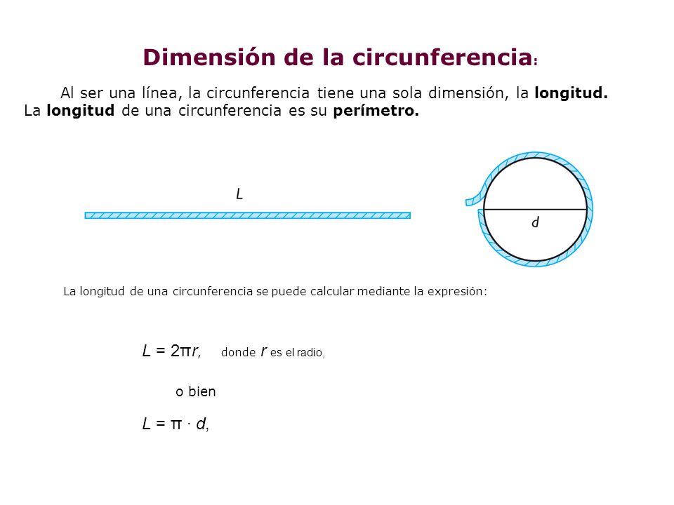 Dimensión de la circunferencia: