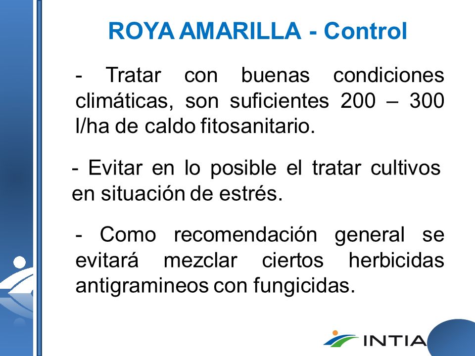 ROYA AMARILLA - Control