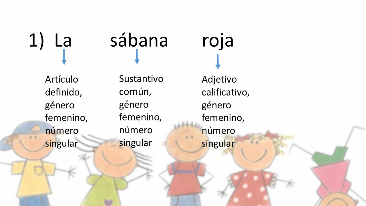 1) La sábana roja Artículo definido, género femenino, número singular