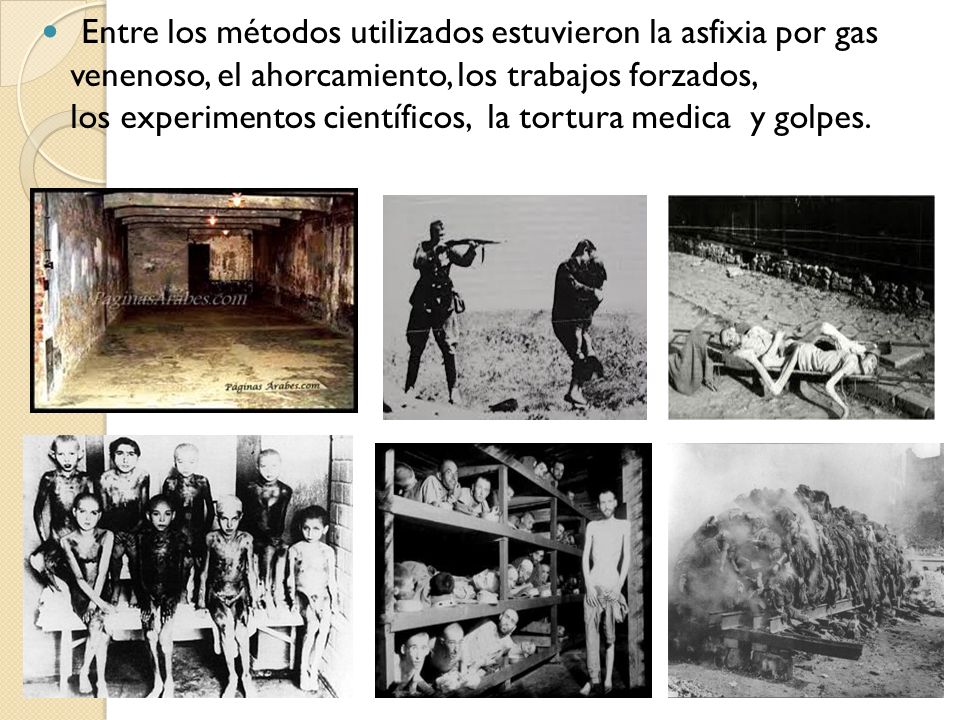 Entre los métodos utilizados estuvieron la asfixia por gas venenoso, el ahorcamiento, los trabajos forzados, los experimentos científicos, la tortura medica y golpes.