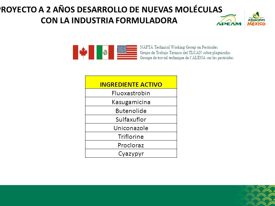 PROYECTO A 2 AÑOS DESARROLLO DE NUEVAS MOLÉCULAS CON LA INDUSTRIA FORMULADORA