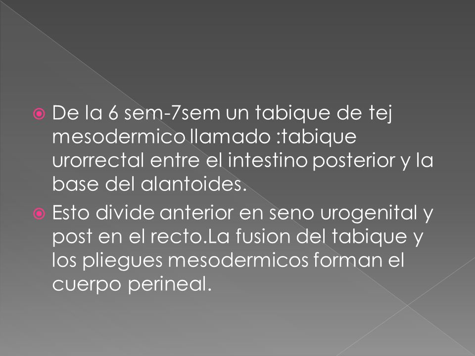 De la 6 sem-7sem un tabique de tej mesodermico llamado :tabique urorrectal entre el intestino posterior y la base del alantoides.