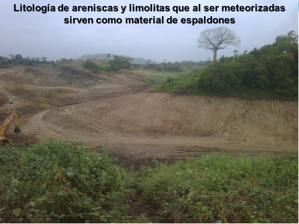 Litología de areniscas y limolitas que al ser meteorizadas sirven como material de espaldones