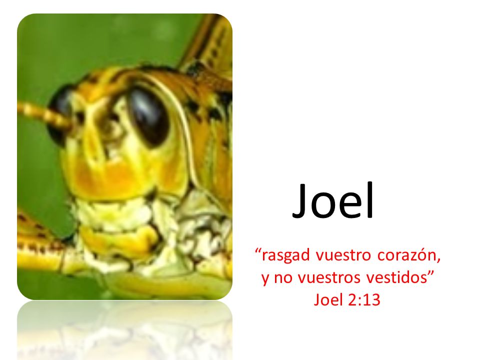 rasgad vuestro corazón, y no vuestros vestidos Joel 2:13