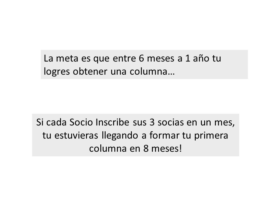 La meta es que entre 6 meses a 1 año tu logres obtener una columna…