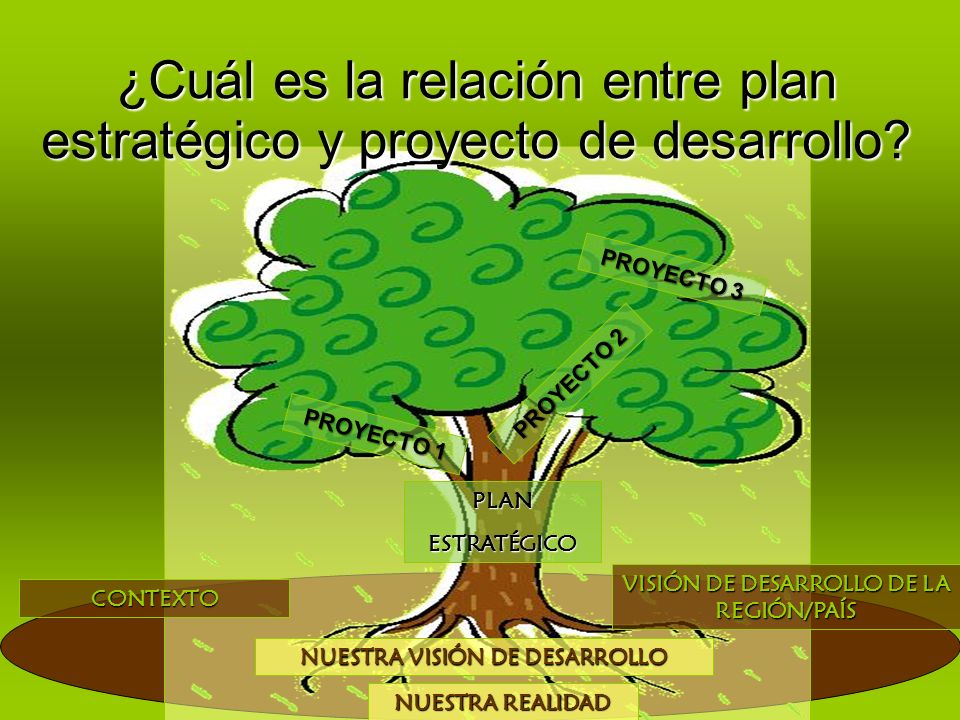 ¿Cuál es la relación entre plan estratégico y proyecto de desarrollo