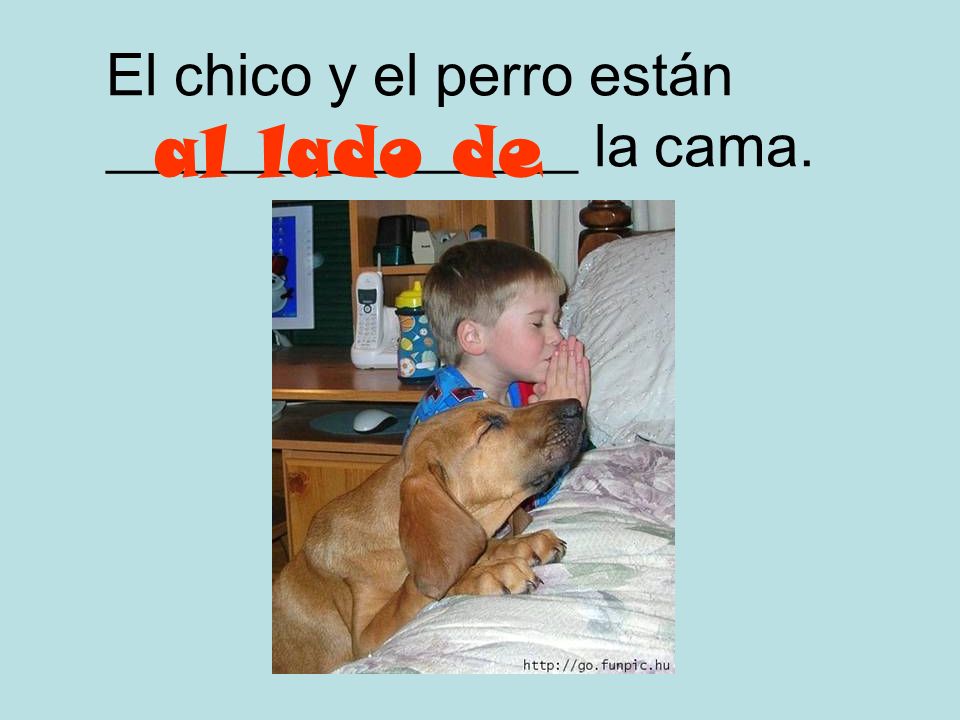 El chico y el perro están ________________ la cama.