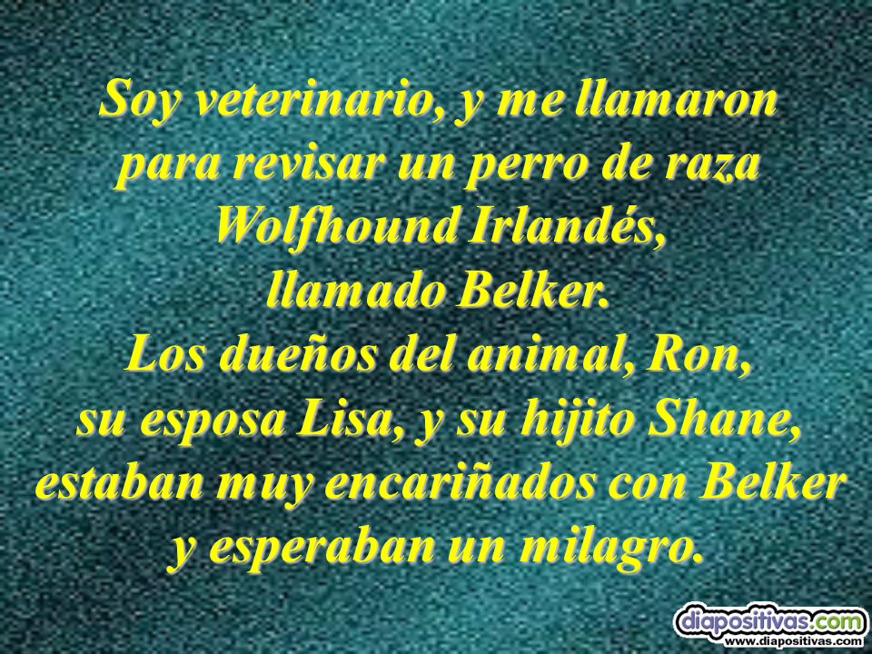 Soy veterinario, y me llamaron para revisar un perro de raza Wolfhound Irlandés, llamado Belker.