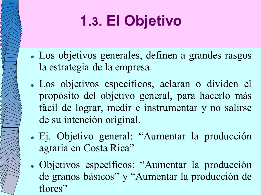 1.3. El Objetivo Los objetivos generales, definen a grandes rasgos la estrategia de la empresa.