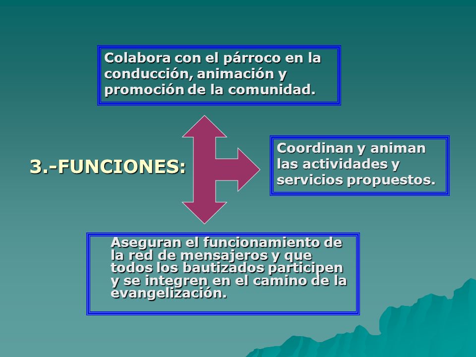 Colabora con el párroco en la conducción, animación y promoción de la comunidad.