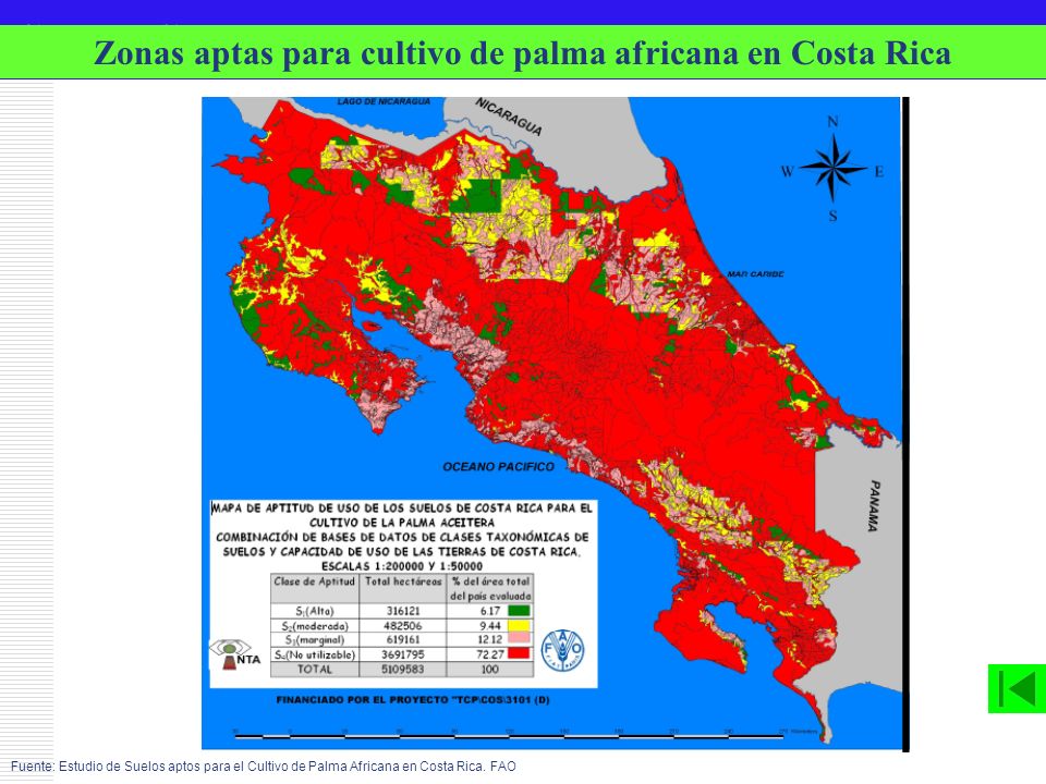 Zonas aptas para cultivo de palma africana en Costa Rica