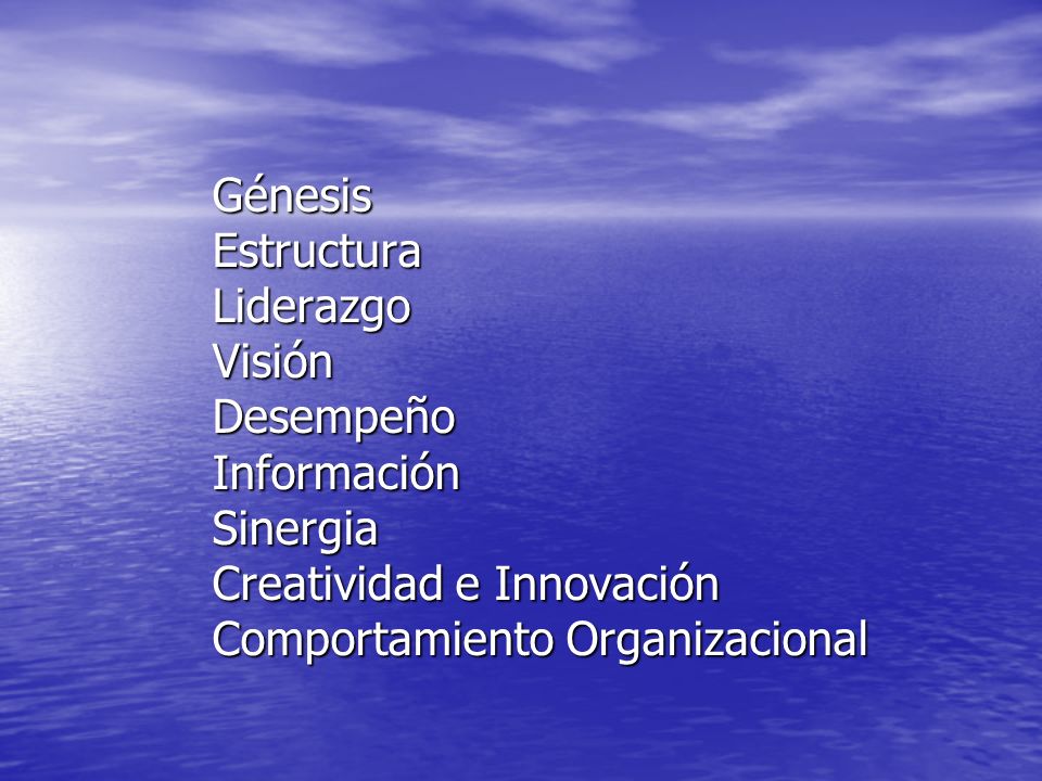 Génesis Estructura Liderazgo Visión Desempeño Información Sinergia Creatividad e Innovación Comportamiento Organizacional