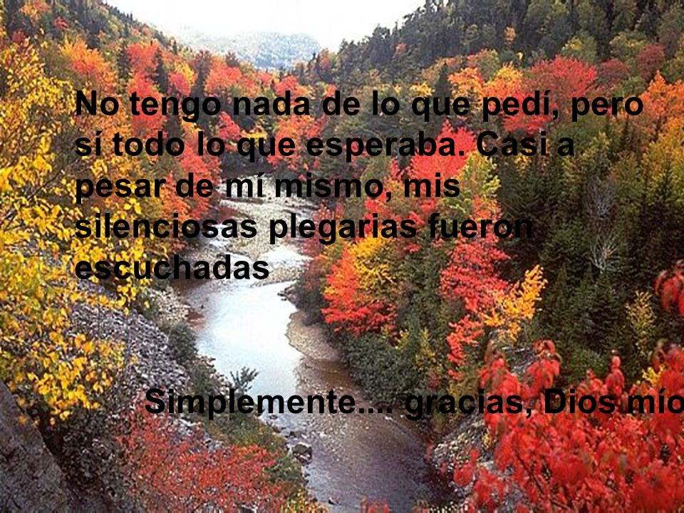 No tengo nada de lo que pedí, pero sí todo lo que esperaba
