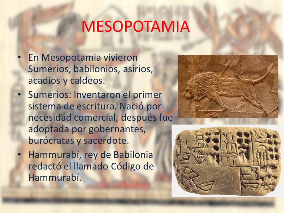 MESOPOTAMIA En Mesopotamia vivieron Sumerios, babilonios, asirios, acadios y caldeos.