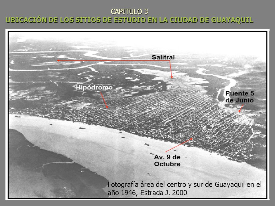 CAPITULO 3 UBICACIÓN DE LOS SITIOS DE ESTUDIO EN LA CIUDAD DE GUAYAQUIL
