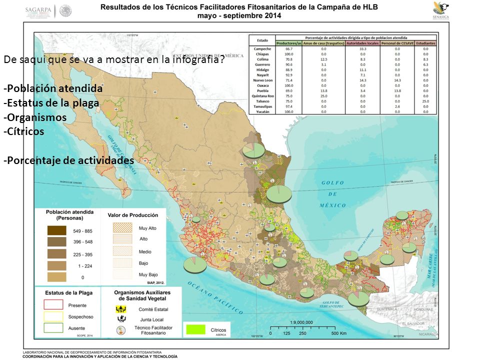 De saqui que se va a mostrar en la infografia