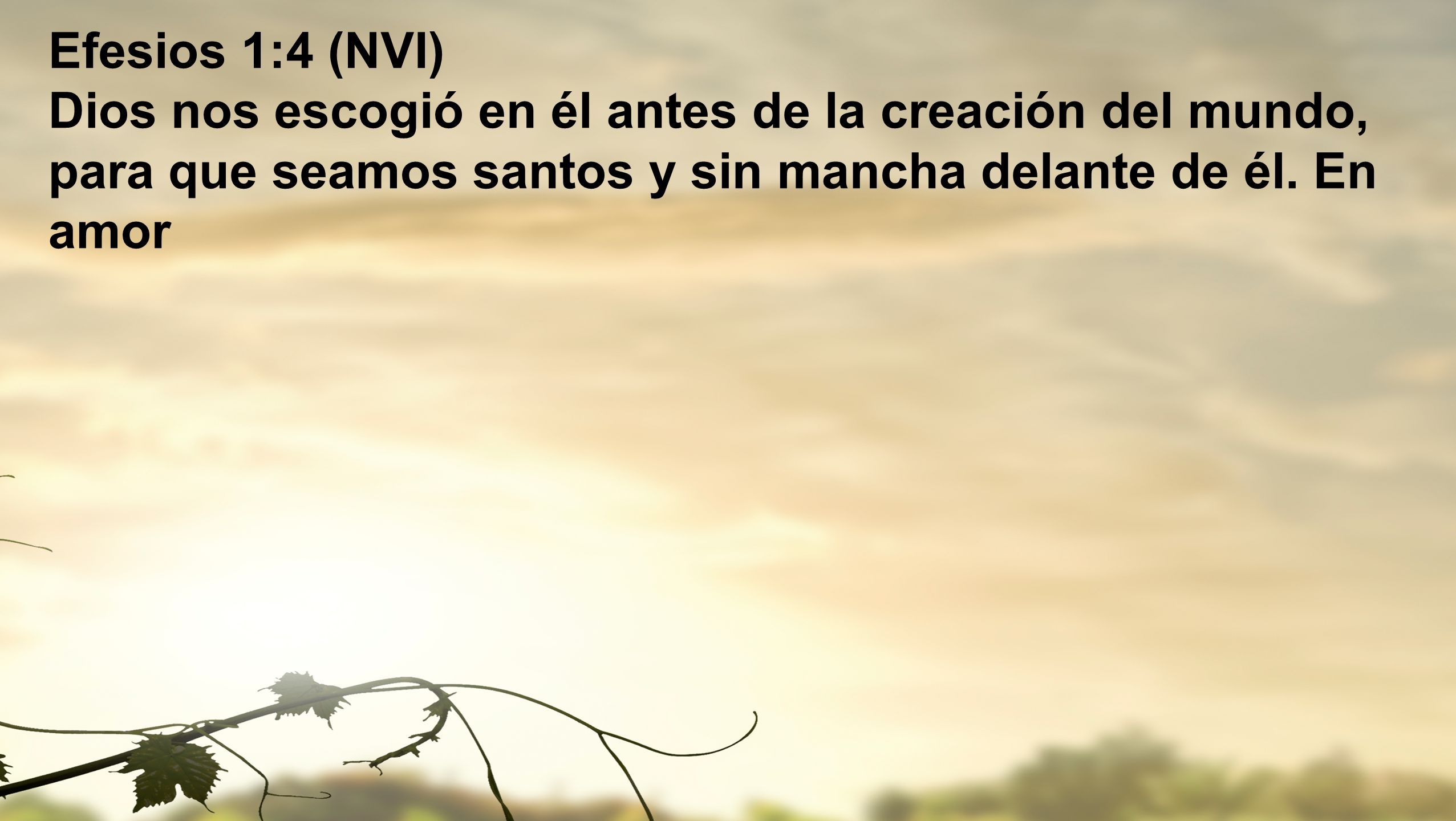 Efesios 1:4 (NVI) Dios nos escogió en él antes de la creación del mundo, para que seamos santos y sin mancha delante de él.