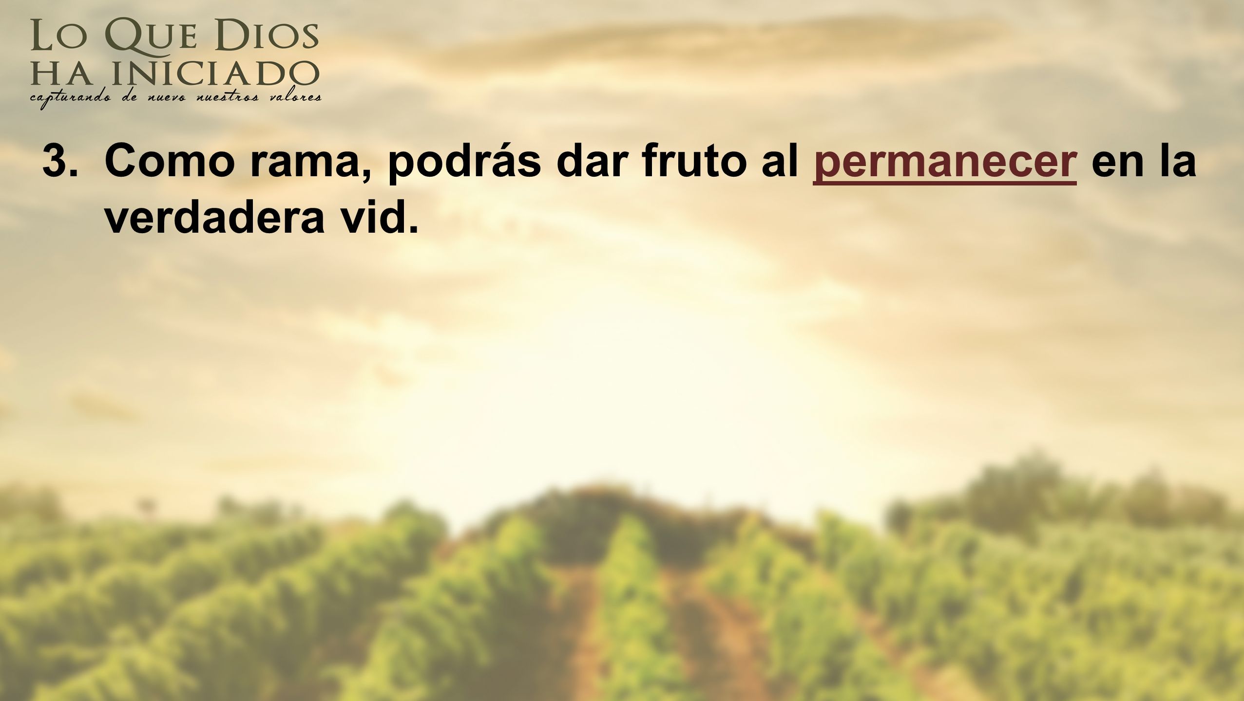 3. Como rama, podrás dar fruto al permanecer en la verdadera vid.